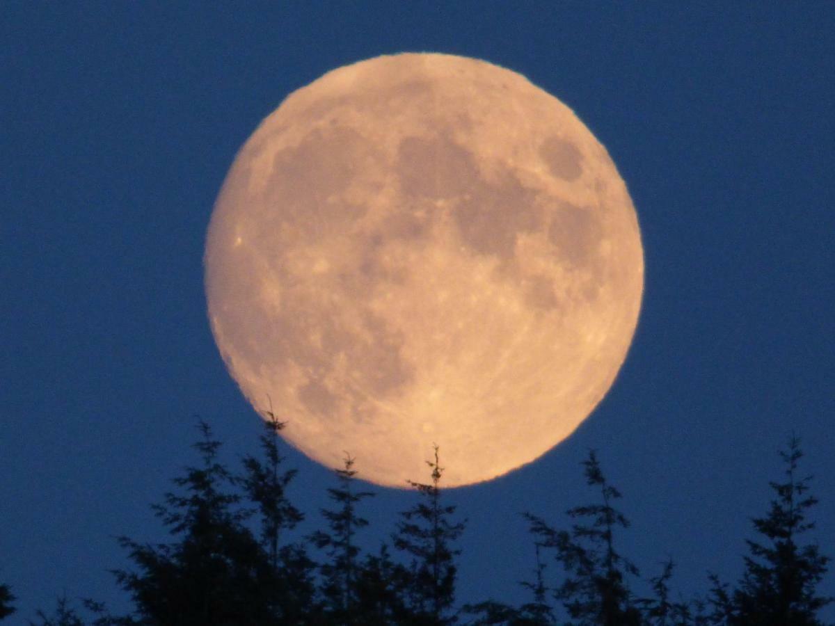 Hunters Moon B&B Tidworth Exteriér fotografie